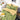 IMG-20230508-WA0046.jpg