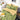 Lenjerie de pat dublu cu Elastic, Finet, 6 Piese, Albinute, Verde/Galben, J14610-ELASTIC