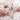 WhatsApp Image 2025-01-07 at 09.10.58 (8)