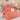 Lenjerie de pat cu Elastic, Bumbac Finet, Pat Dublu, 6 Piese , Roz Somon , Model Inflorat, J14619-ELASTIC