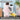 4_03a72629-bae1-4ea7-b4a8-62f452d9f37a