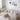 Coltar, VelvetCorner Premium –  Catifea, Bej,  J1156