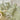 Lenjerie-pat-creponata-Finet-Volanase-Verde-Alb-2.jpg