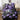 Lenjerie-pat-single-bumbac-finet-4-piese-fluturi-negru-mov.jpeg