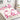 Husa Pat 1 Persoana cu Elastic, Bumbac Finet, 90 x 200 cm, Ursuleti, Alb/Roz, J23444