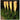 Lămpi Solare Decorative Tip Iarbă Pampas – Set 2 Bucăți, 70 cm, LED Cald, IP66, i-C764