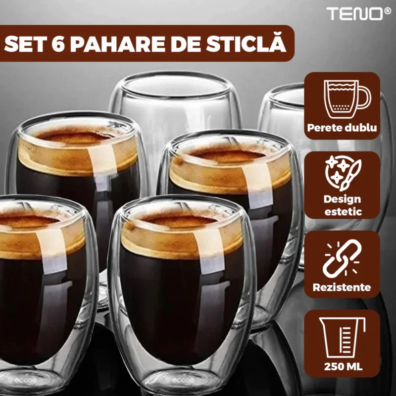 Set 6 Pahare din Sticla cu Perete Dublu, Termorezistente, Design Modern, Capacitate 250 ml, 9 x 8 cm, TENO1000