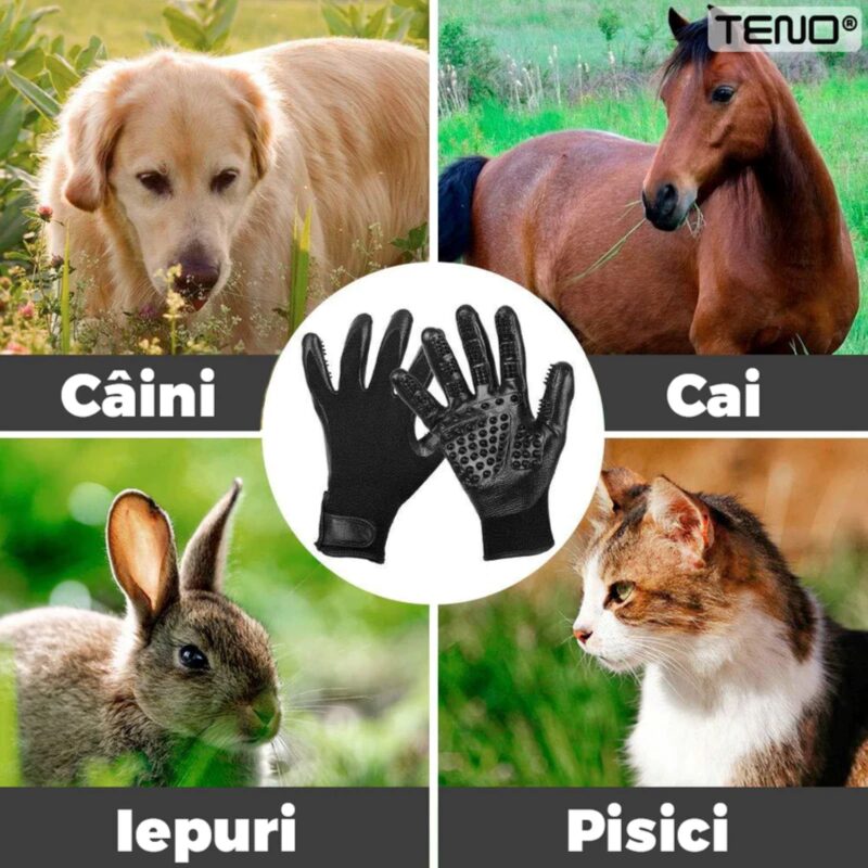 Set 2 Manusi Perii de Ingrijire si Curatare Caini, Pisici si Alte Animale de Companie, Periaj si Masaj, Prindere Velcro, 25.5x13.5 cm, TENO422