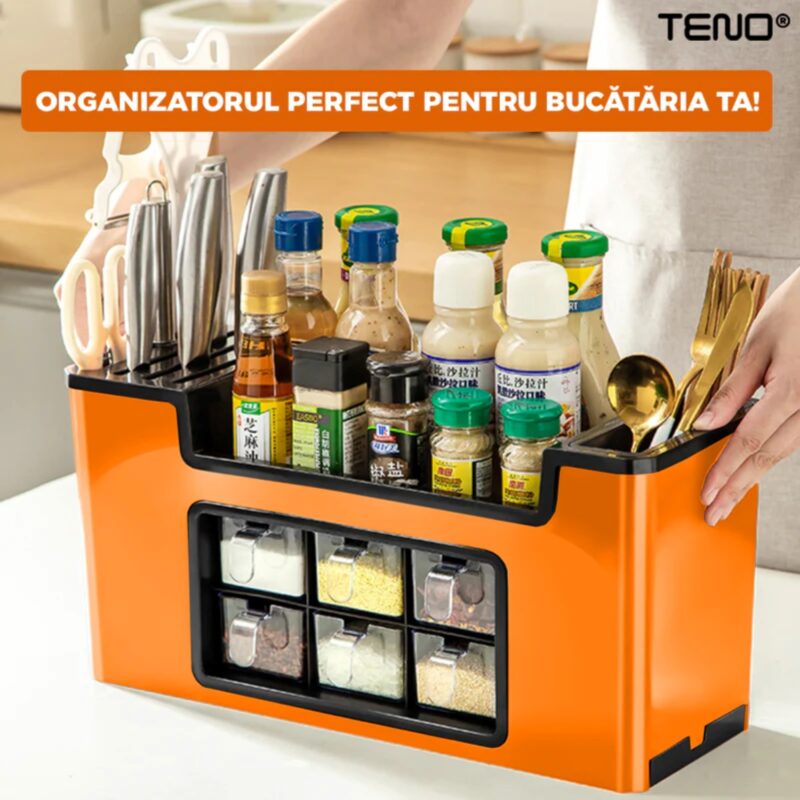 Organizator Multifunctional Pentru Bucatarie cu 6 Compartimente, Raft Condimente, Tavita de Scurgere, Suport Tacamuri/Ustensile, TENO601